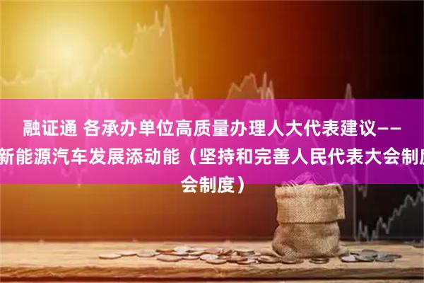 融证通 各承办单位高质量办理人大代表建议——为新能源汽车发展添动能（坚持和完善人民代表大会制度）